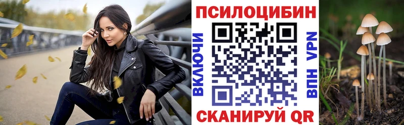 Галлюциногенные грибы мицелий сколько стоит Сорск